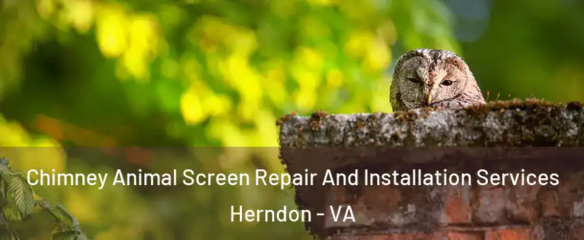  Chimney Animal Screen Repair And Installation Services Herndon - VA