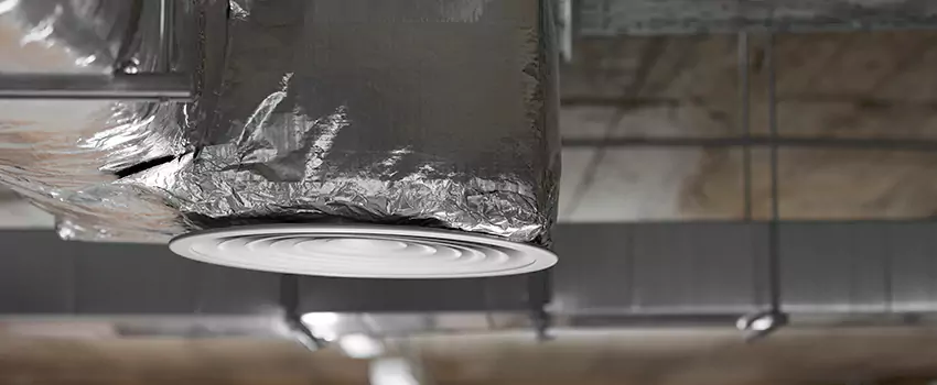 Signs of Dust Accumulation in Vents in Herndon, VA