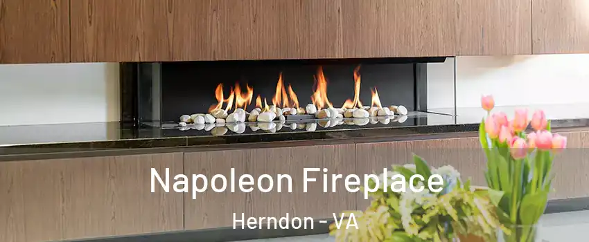  Napoleon Fireplace Herndon - VA